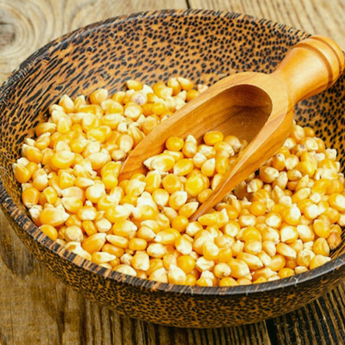bio_products_Shop_online_-Yellow-corn001